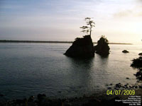 Oregon Coast Scenic Railroad