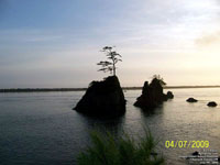 Oregon Coast Scenic Railroad