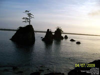 Oregon Coast Scenic Railroad