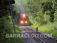 SLR 3004 - GP40 (Ex-LLPX 3004, Exx-UP 3092, Exxx-UP 744, nee D&RGW 3092.  An unit built in 1967-71.)