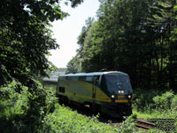 Via Rail 917 (P42DC / Genesis)