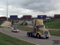 Bison Transport