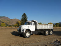 Dodge truck