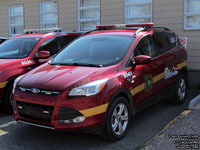 9041 - 2016 Ford Escape