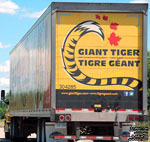 Giant Tiger