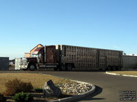 Haldenby Trucking