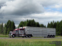 Unidentified International truck