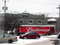 Labatt Budweiser