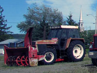 Zetor