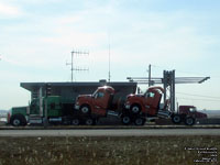 Peterbilt mule