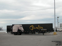 Cavalia