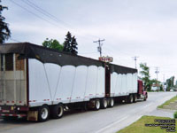 Bulk Woodchip trailer